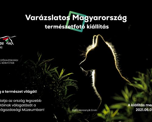 A Varázslatos Magyarország megnyitotta 11. fotókiállításának kapuit a Városliget szívében, a Magyar Mezőgazdasági Múzeumban.